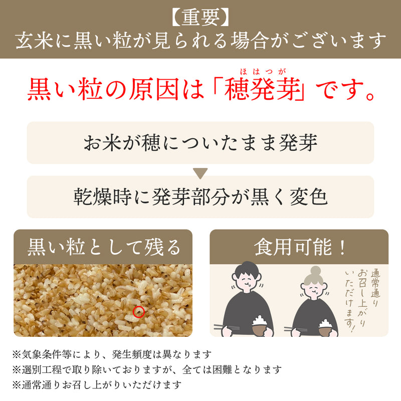 金賞の一膳 5種アソートセット