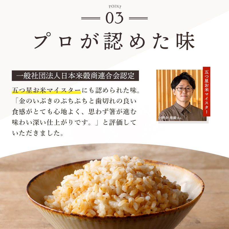 金賞健康米×金のいぶき